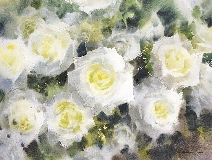 【#花卉水彩】
