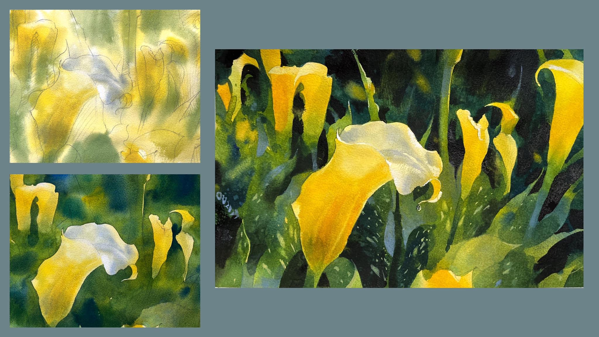 【#海芋】